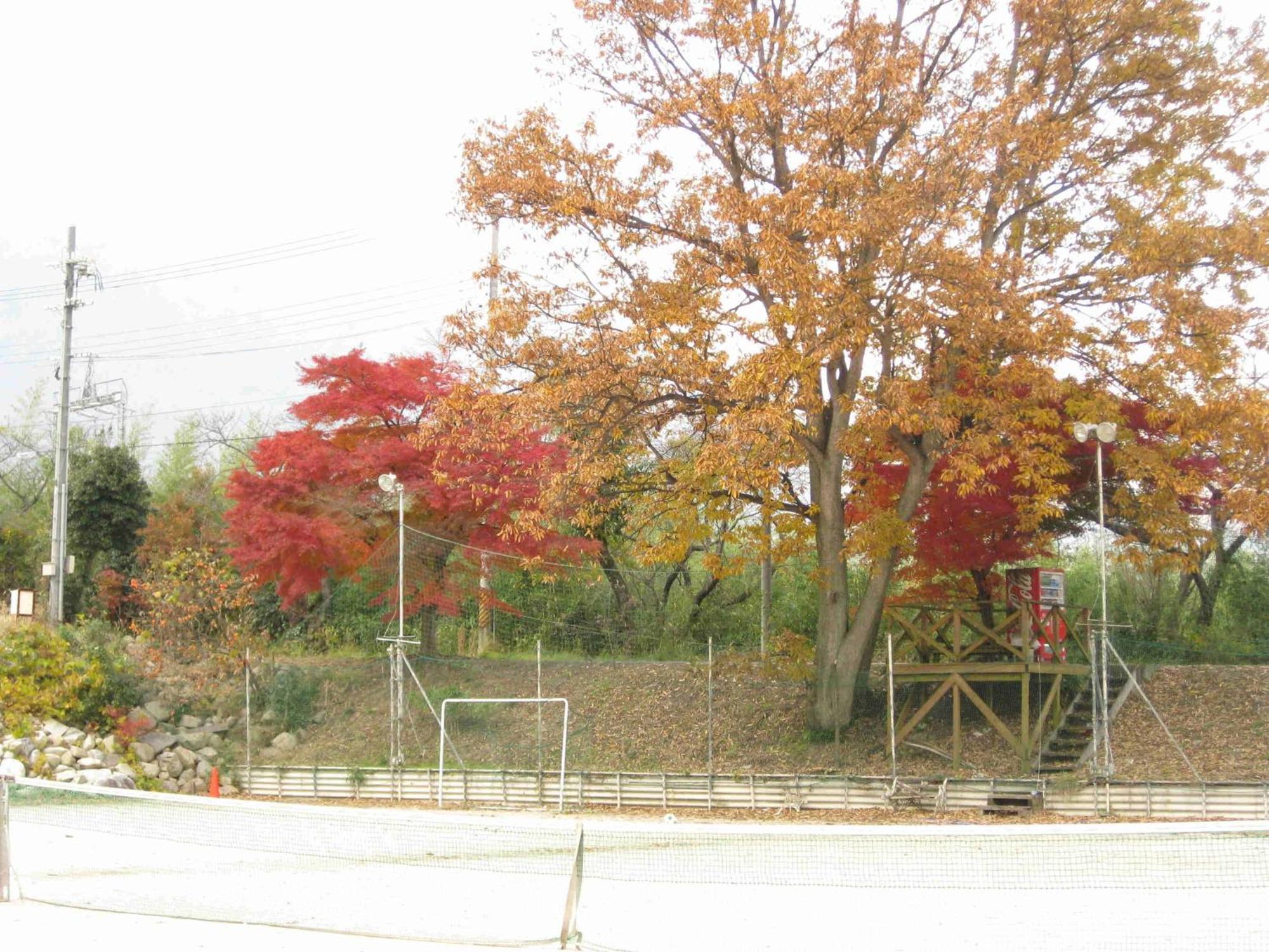 Holiday Afternoon Otsu Buitenkant foto